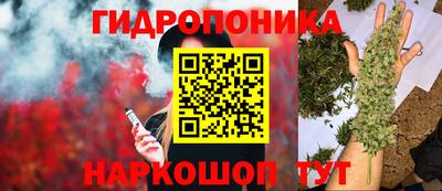 мяу мяу мука Жуковский