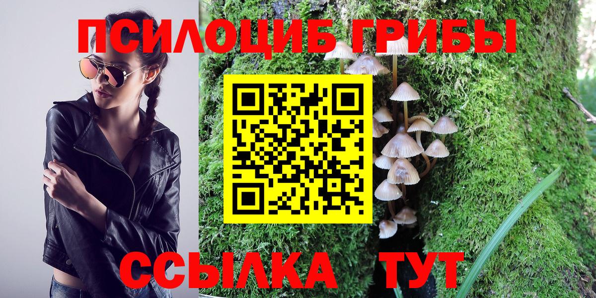 Лосино-Петровский  Псилоцибиновые грибы MAGIC MUSHROOMS  Вход с VPN 